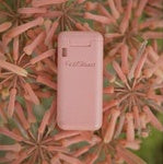 Pocket straw. Reusable Portable Stainless Final Straw