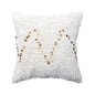 Throw Pillow Cushion Sofa Cushion